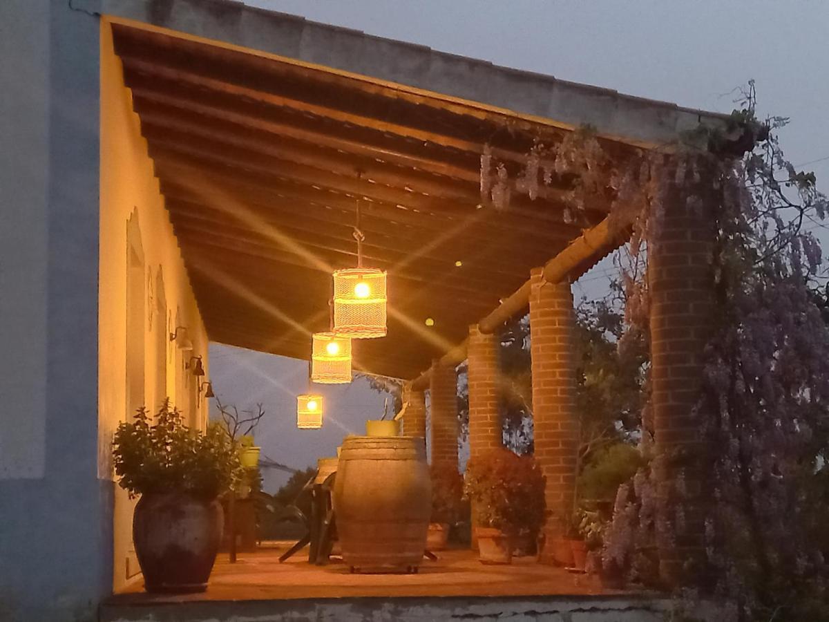 Aproveite O Sabor Do Alentejo Villa Vila Verde de Ficalho Exterior photo