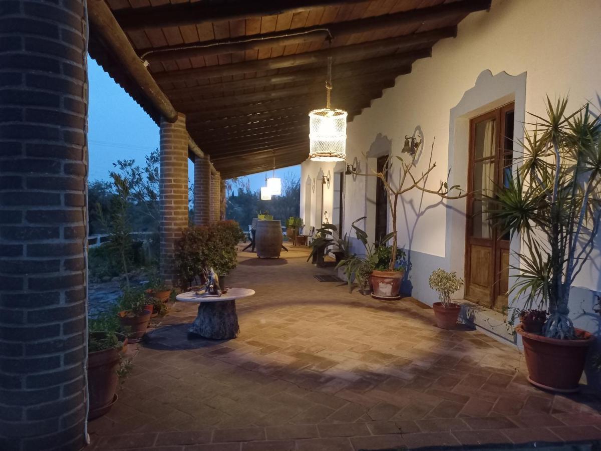 Aproveite O Sabor Do Alentejo Villa Vila Verde de Ficalho Exterior photo
